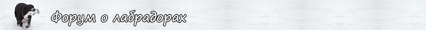 Самый лучший лаброфорум